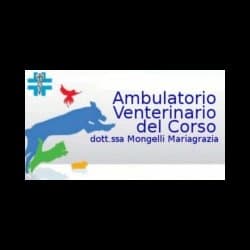 Ambulatorio Veterinario del Corso - Immagine 2