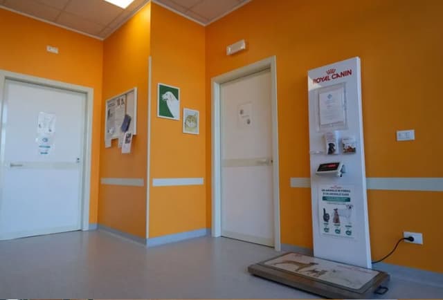 Ambulatorio Veterinario Fedra - Immagine 2