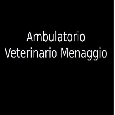 Ambulatorio Veterinario Menaggio - Immagine 1