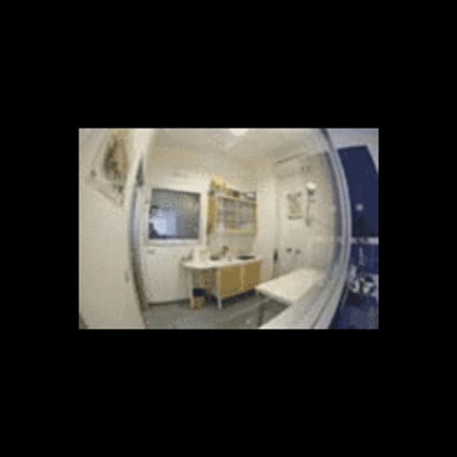 Ambulatorio Veterinario Quattrozampe - Immagine 1