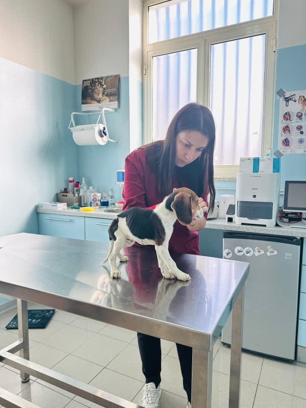 Ambulatorio Veterinario San Carlo - Immagine 1