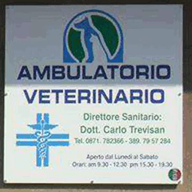 Ambulatorio Veterinario Trevisan Dr. Carlo - Immagine 2