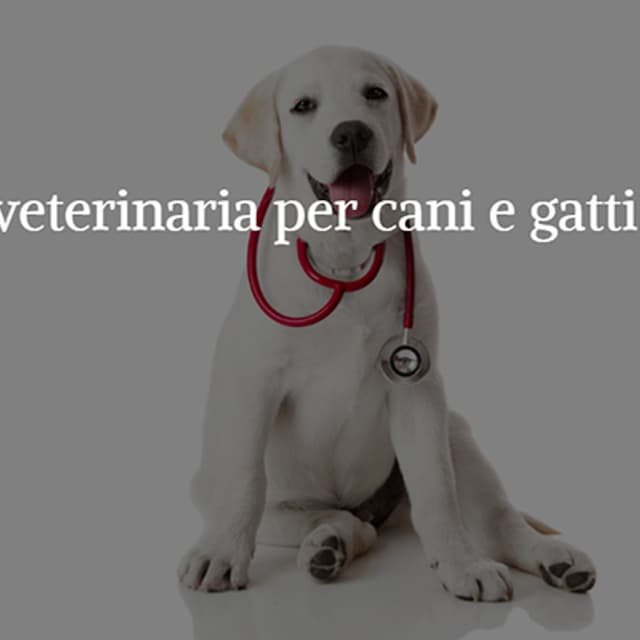 Ambulatorio Veterinario Valle del Sacco - Immagine 2