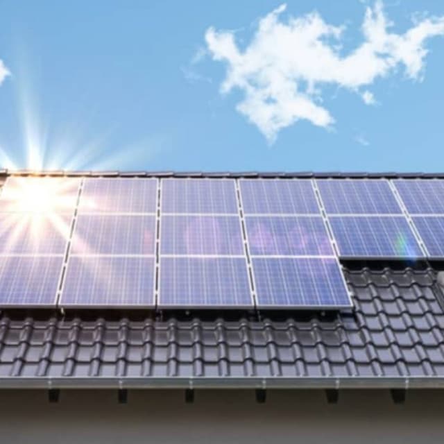 Americani Benedetto - Immagine 1