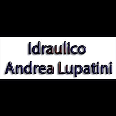 Andrea Lupatini - Immagine 2