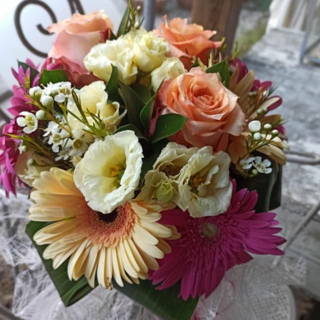 Anemone Garden Center - Immagine 1