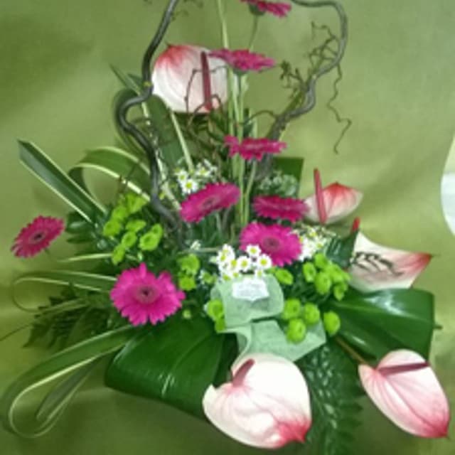 Angela Fiori - Immagine 2