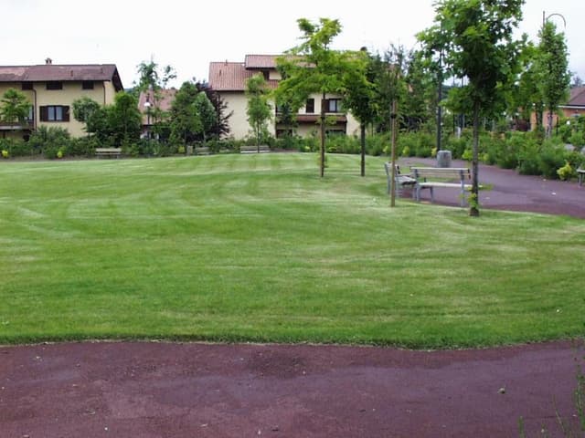 Angioletto Borri - Immagine 2