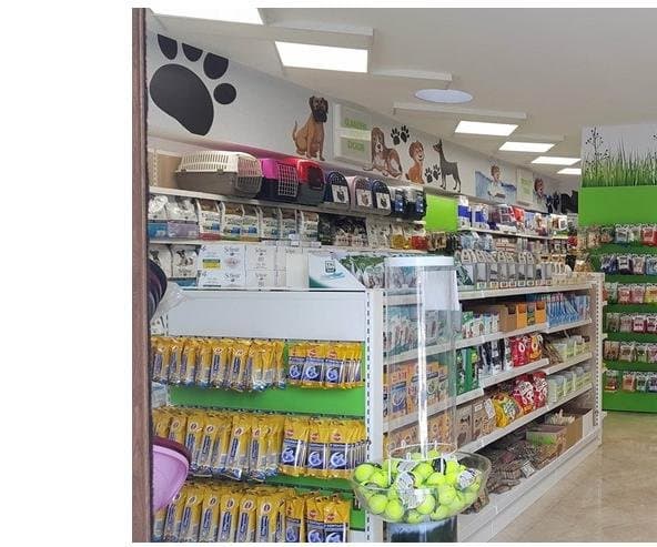 Animal House - Immagine 1