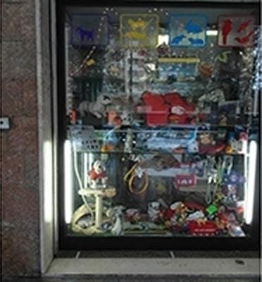 Animal House - Immagine 1