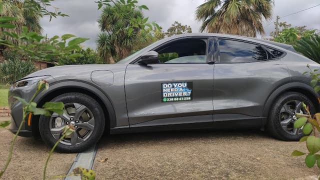 Ansaldi Driver - Immagine 1