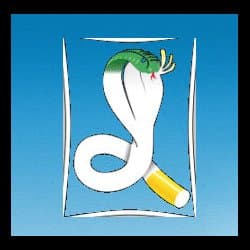 Antismoking Center - Immagine 2