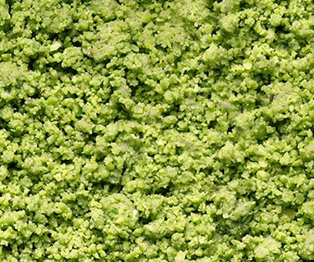 Antonino Caudullo - Immagine 2