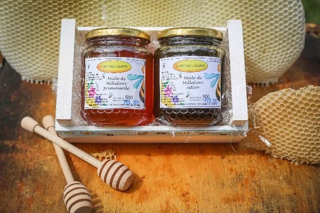 Apicoltura-L'Oro del Cilento - Immagine 2