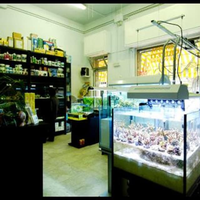 Aquarium Vanity - Immagine 2