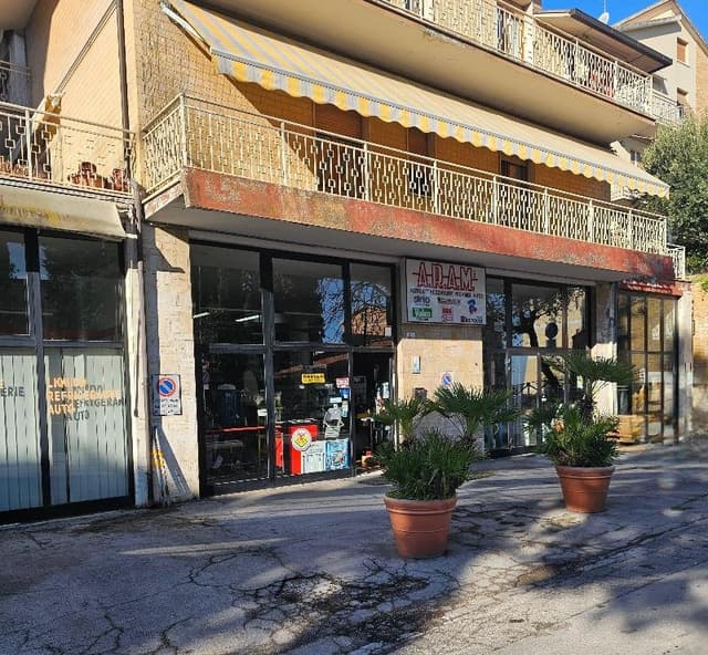 A.R.A.M. Sas di Damiano Damiani - Immagine 1