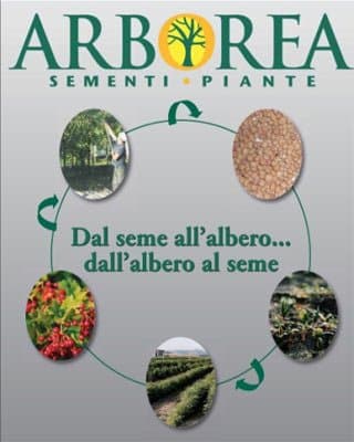 Arborea Sementi e Piante - Immagine 1