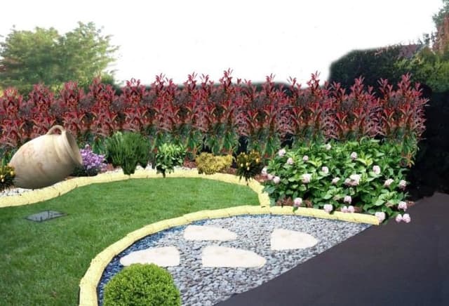 Area Verde - Immagine 1