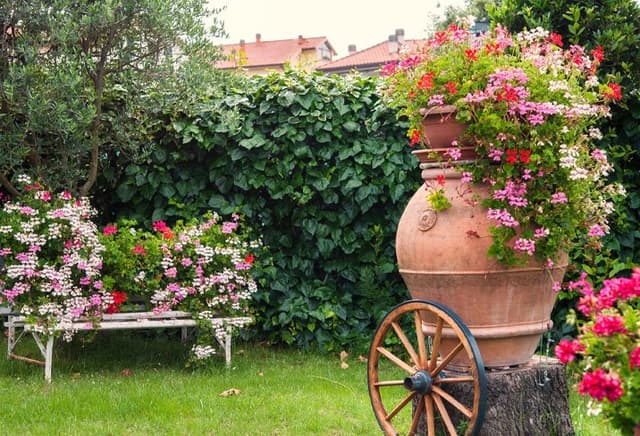 Area Verde - Immagine 2