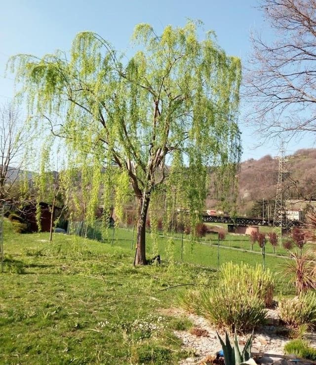 Armanetti Giardini - Immagine 2