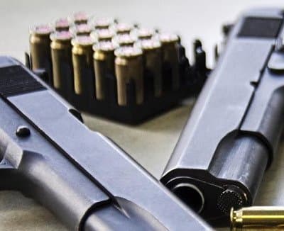 Armeria Sebina - Immagine 2