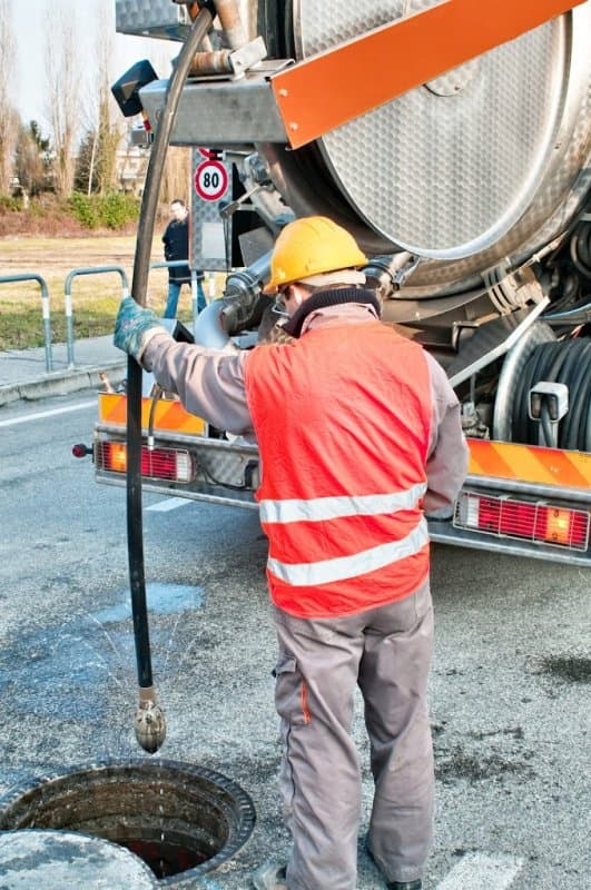 Arrigucci Spurghi - Immagine 2