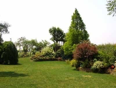 Arte Verde - Immagine 1