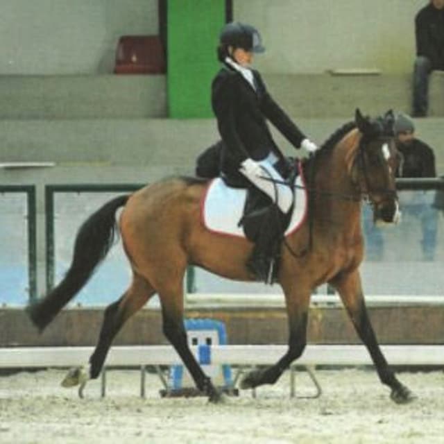 Associazione Ippica Monregalese - Immagine 1