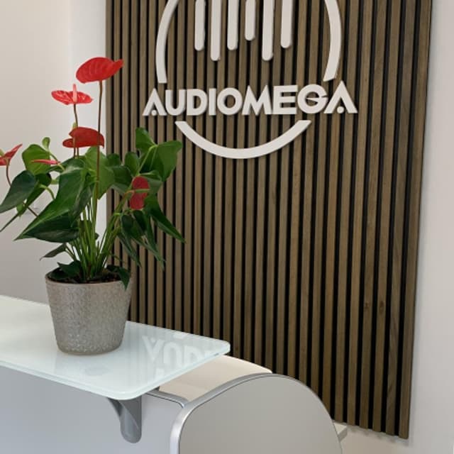 Audiomega S.a.s. - Immagine 1