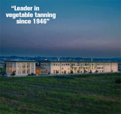 Ausonia Conceria - Immagine 2