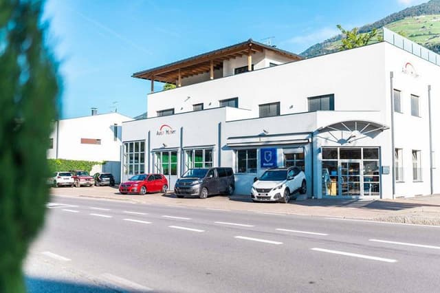 Auto Moser - Immagine 2