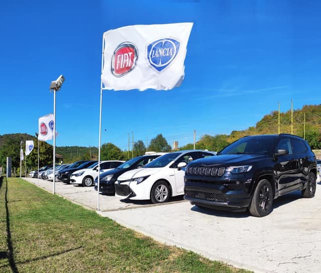 Auto Piccardi - Immagine 2