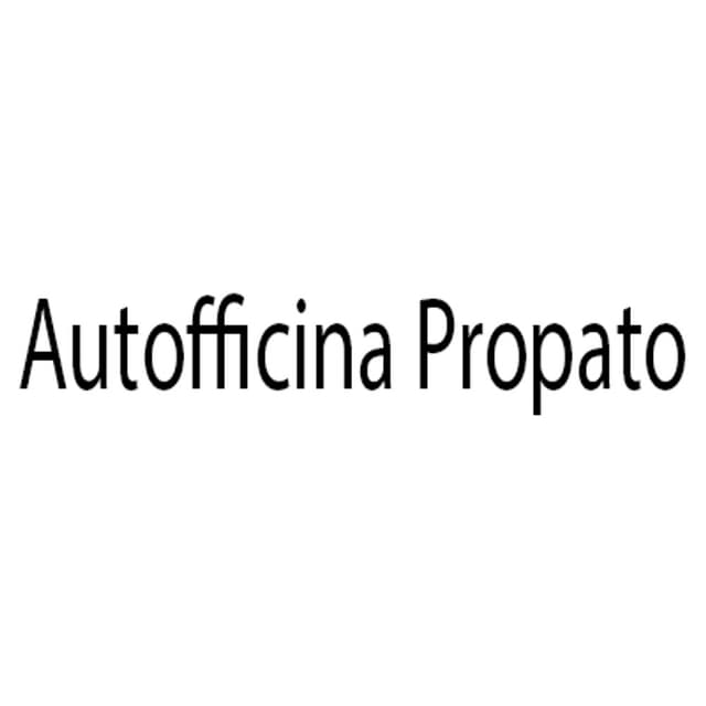 Autofficina Propato - Immagine 1