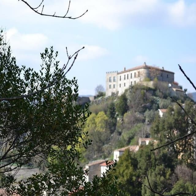 Autolinee Propato Bus - Immagine 1