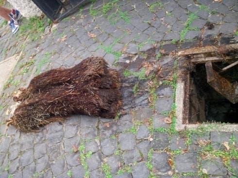 Autospurgo Carbonella Antonio - Immagine 2