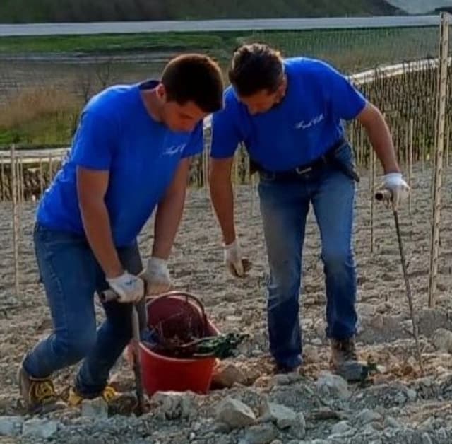 Azienda Agricola Angelo Colla - Immagine 1