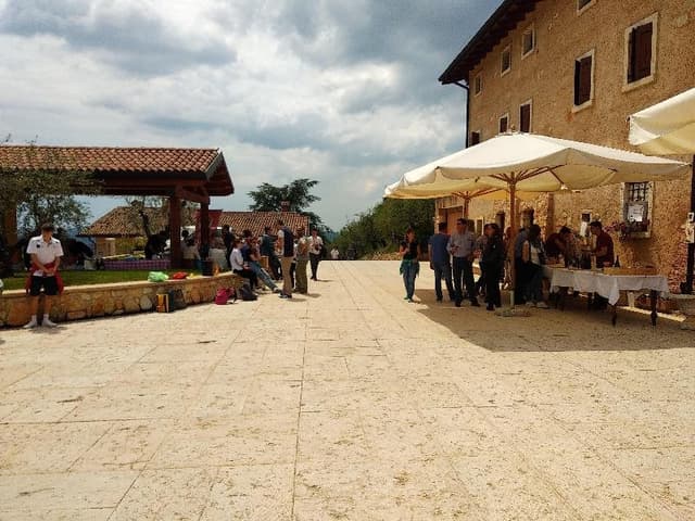 Azienda Agricola Boscaini Carlo - Immagine 1