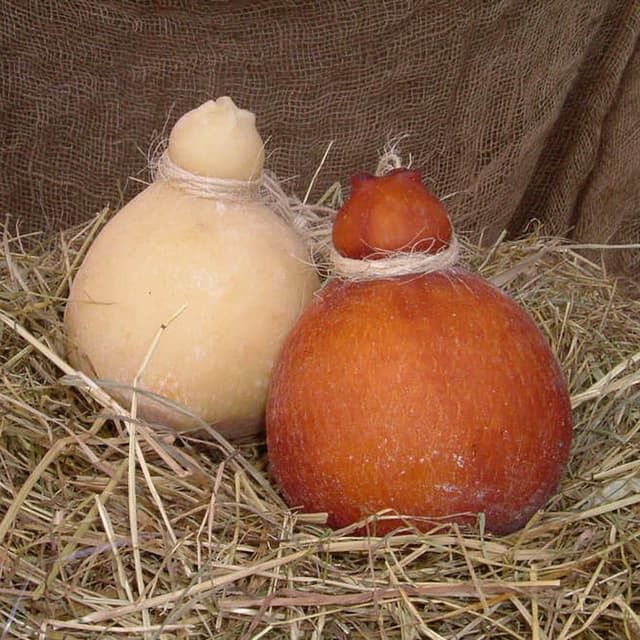 Azienda Agricola Ca' De Alemanni - Immagine 1