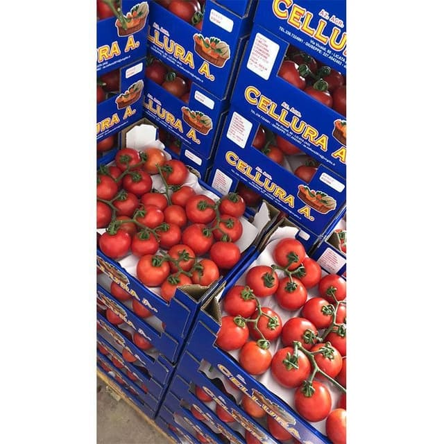 Azienda Agricola Cellura - Immagine 1