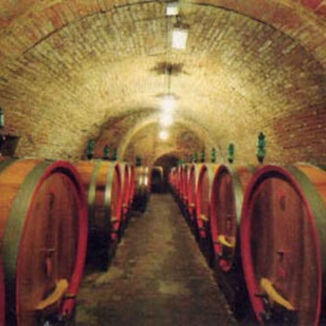 Azienda Agricola Ercolani - Immagine 1