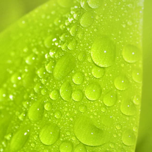 Azienda Agricola Ferrario - Immagine 1