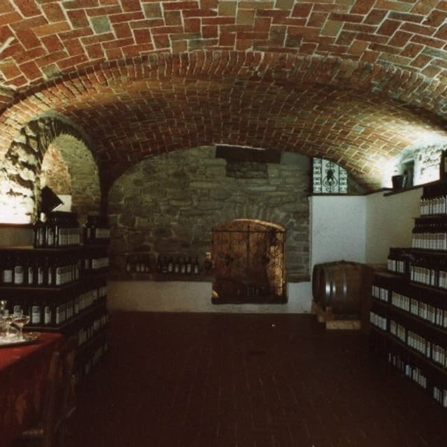 Azienda Agricola Gallo - Vini Piemontesi - Immagine 2