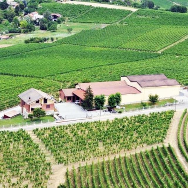 Azienda Agricola Gozzelino Sergio - Immagine 2