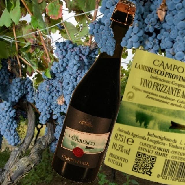 Azienda Agricola Longhera - Immagine 1