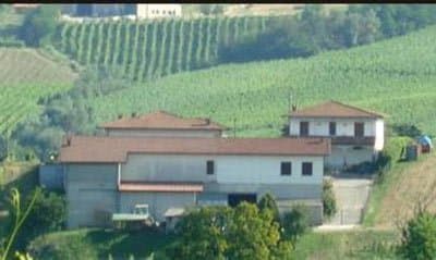 Azienda Agricola Maggi Francesco - Immagine 1