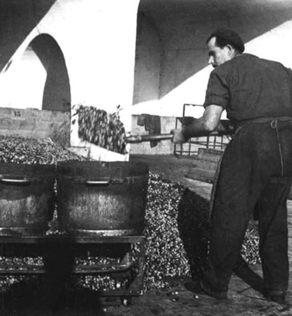 Azienda Agricola Malerba Loreta - Immagine 2