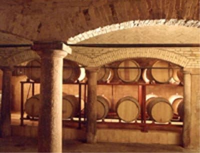 Azienda Agricola Moletto - Immagine 1