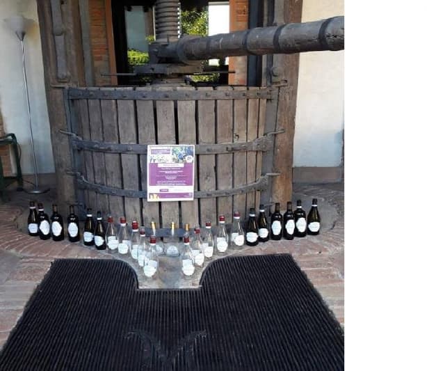 Azienda Agricola Montelio - Immagine 2