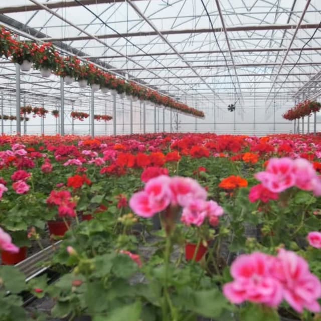 Azienda Agricola Rino - Immagine 1