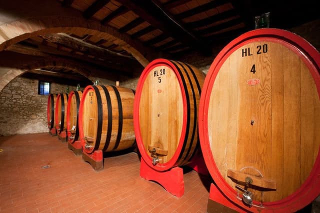 Azienda Agricola Salvioni - Immagine 1